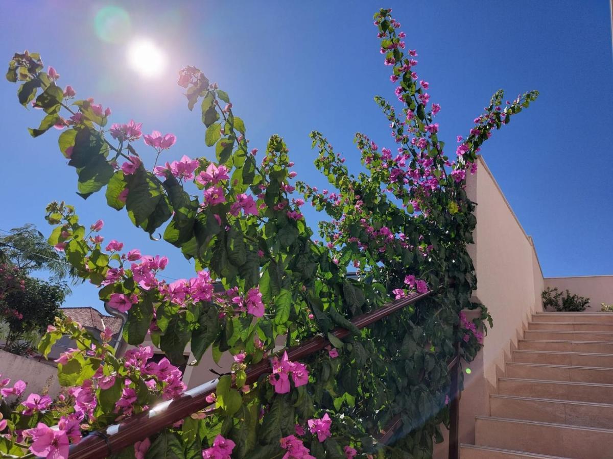 Apartments Lavanda - Free Parking And Grill Jezera Εξωτερικό φωτογραφία